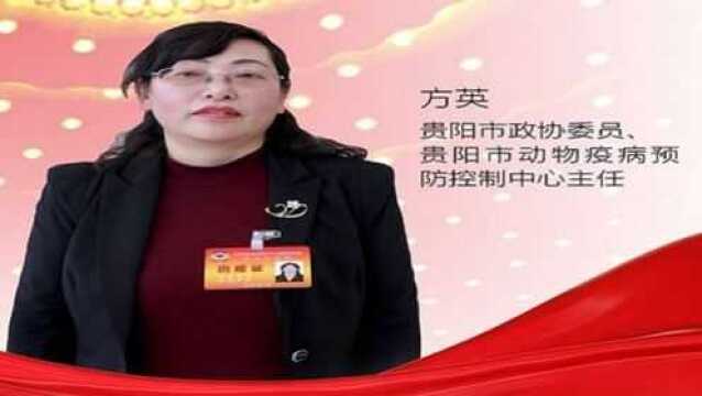 2018贵阳市两会微访谈 方英:加强冰鲜禽和冷冻禽产品质量体系建设