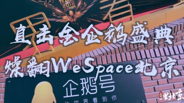 VLOG055 直击金企鹅盛典 燥翻WeSpace北京