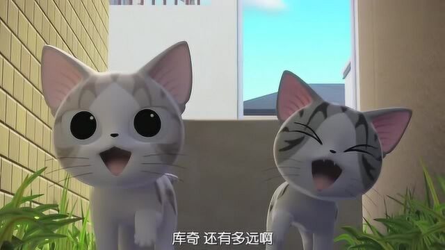 甜甜私房猫:出发去冒险