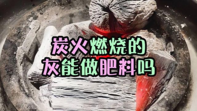 炭火燃烧剩下的灰能做肥料吗?