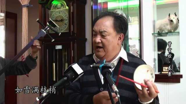 青海平弦背工腔《春景》张永清演唱