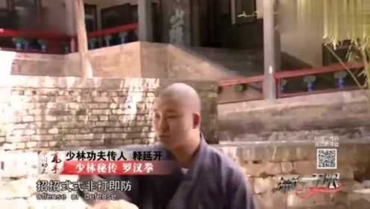 少林高僧释延开演示少林实战功夫罗汉拳出手都是必杀技啊