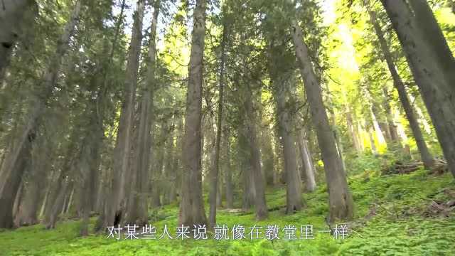 每一幕都是蓝光4K,拿走不谢.美国的别样风景.