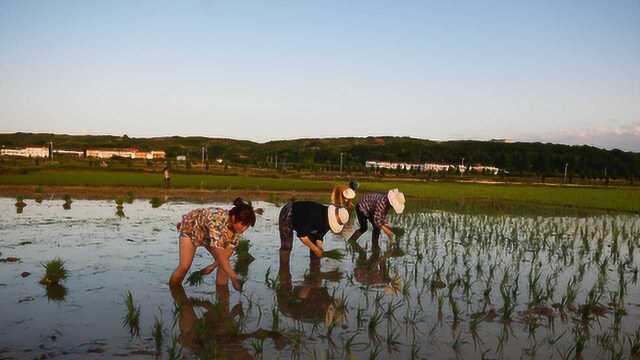 农村俗语:“有福之人两腿毛,无福之人毛两腿”,你属于哪种?