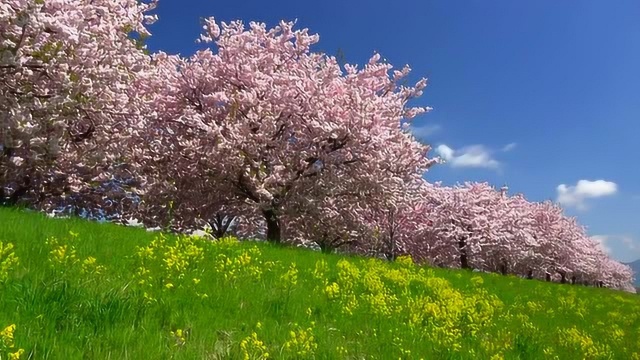 不同的季节景色不同,气候也不同