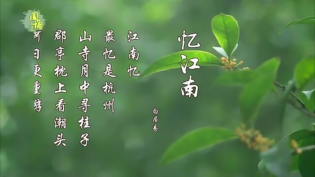 忆江南三首 日出江花红胜火 春来江水绿如蓝 白居易