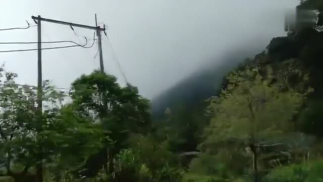 阿里山沿途风景,美得不要不要的