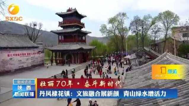 丹凤棣花镇:文旅融合展新颜,青山绿水增活力