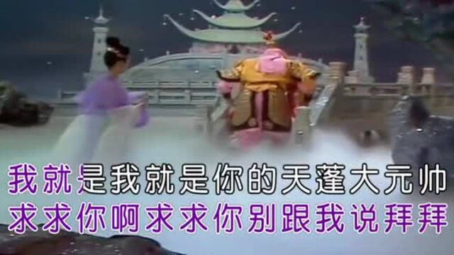 小倩天蓬大元帅