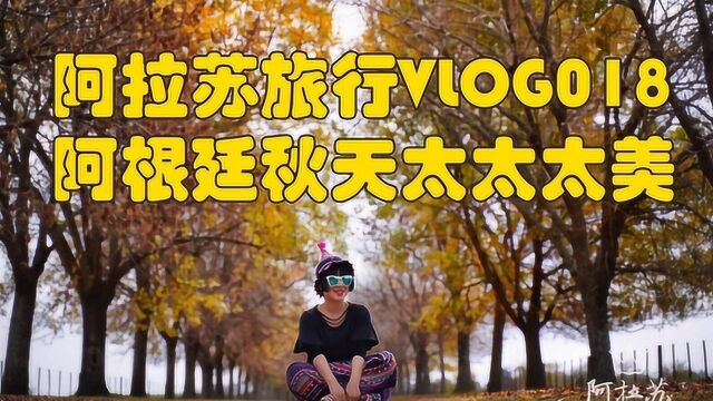 阿拉苏的旅行VLOG018阿根廷秋天太美