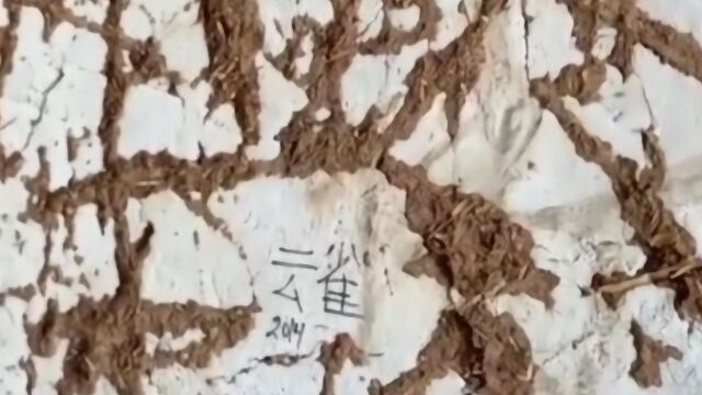 悲愤!千年石窟遭游客刻字,恐永远无法修复