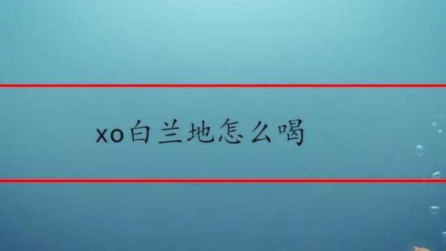 xo白兰地怎么喝