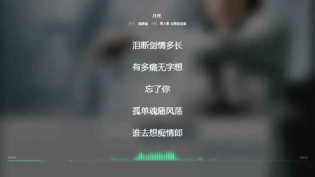 月光 胡彦斌 2008年度最火歌曲 动态歌词