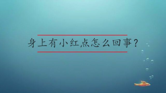 身上有小红点怎么回事?