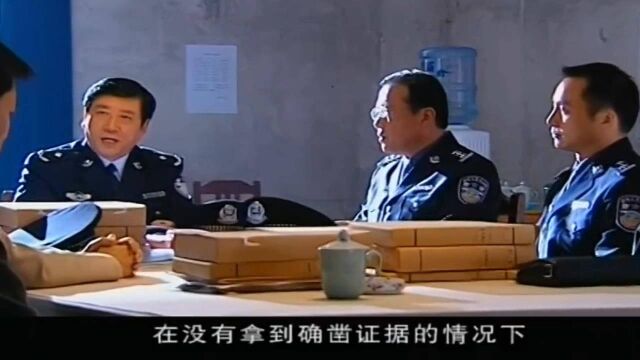 缉毒专案组决定把南山别墅、凤凰集团及市长关系网纳入侦察范围