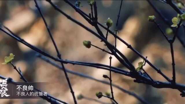 《长安十二时辰》历史关键字之不良人,牙郎,狼卫