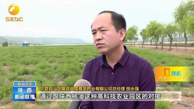 杨凌:“两大品牌”为经济高质量发展注入新动能