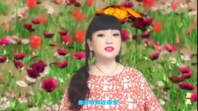 林淑容 一首怀旧歌曲《我没有骗你》老歌回味!