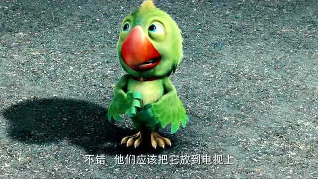 飘花电影piaohua.com动物也疯狂.720p.HD中字82