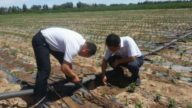 农村土地征收,村民委员会还要和群众分征地赔偿款?