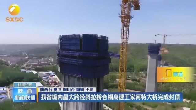 陕西省境内最大跨径斜拉桥合铜高速王家河特大桥完成封顶