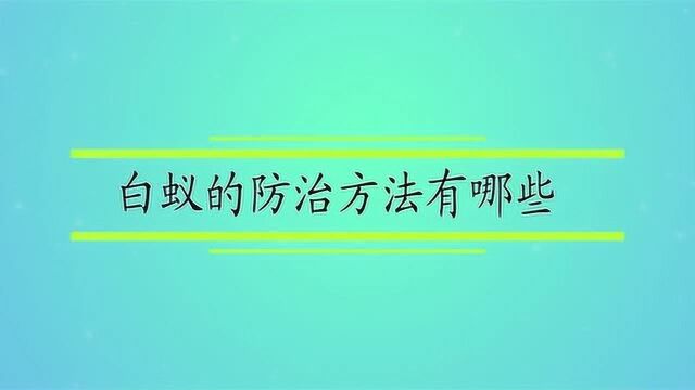 白蚁的防治方法有哪些