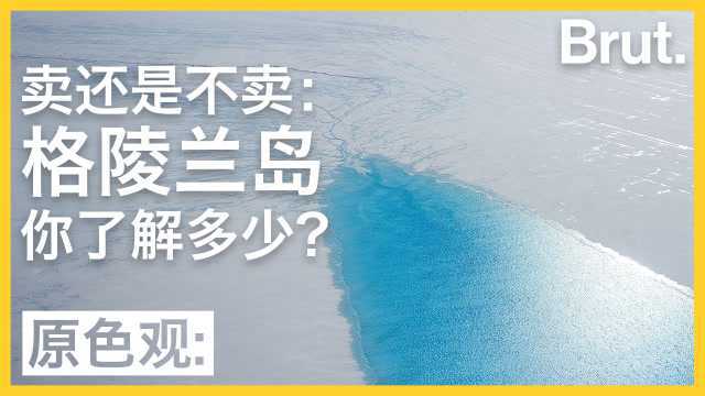 卖还是不卖?关于格陵兰岛,这5个冷知识你了解吗