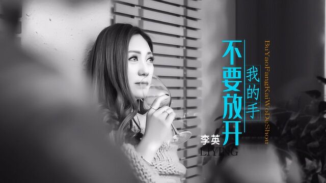 《新歌推荐》李英不要放开我的手KTV版