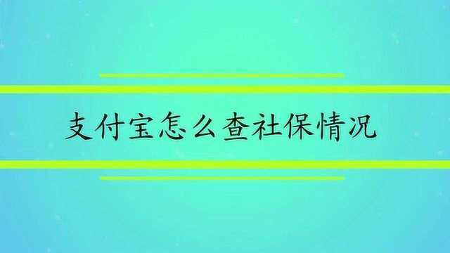 支付宝怎么查社保情况