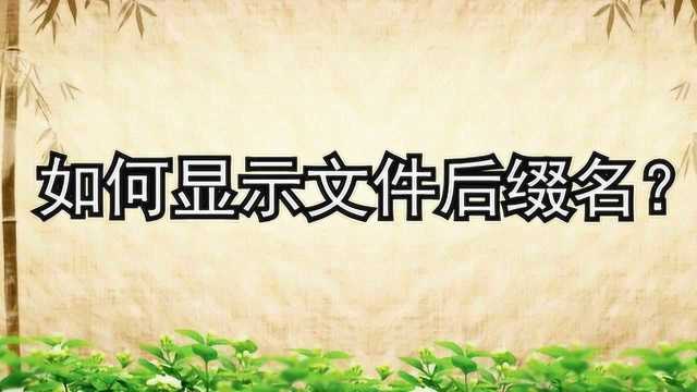 如何显示文件后缀名?