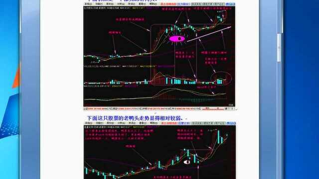 新手炒股必须要学会的K线形态之覆巢之下