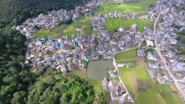 罗平革命先驱夏鼎