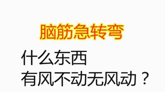 脑筋急转弯:什么东西有风不动无风动?网友:太难了