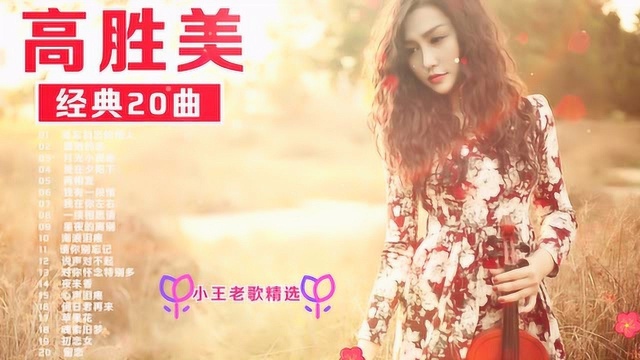 每日听好歌【高胜美】经典20曲《难忘初恋的情人》《潇洒的走》等