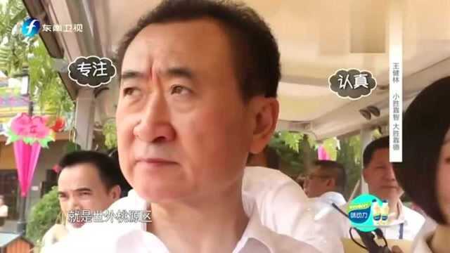 王健林带鲁豫视察万达主题公园,大佬出场气场就是不一样