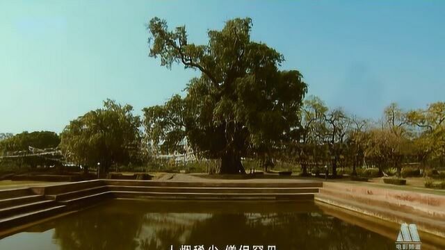 《玄奘大师》09:玄奘历经两年跋涉,抵达西行的目的地那烂陀寺