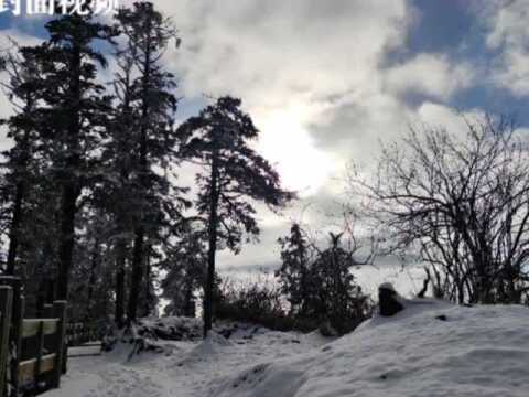 生活重启|四川多家景区推出优惠活动助力旅游振兴