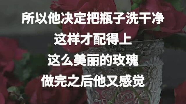 Andy安迪语录美女送的玫瑰花