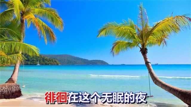 一首好听的情歌《无眠的夜》