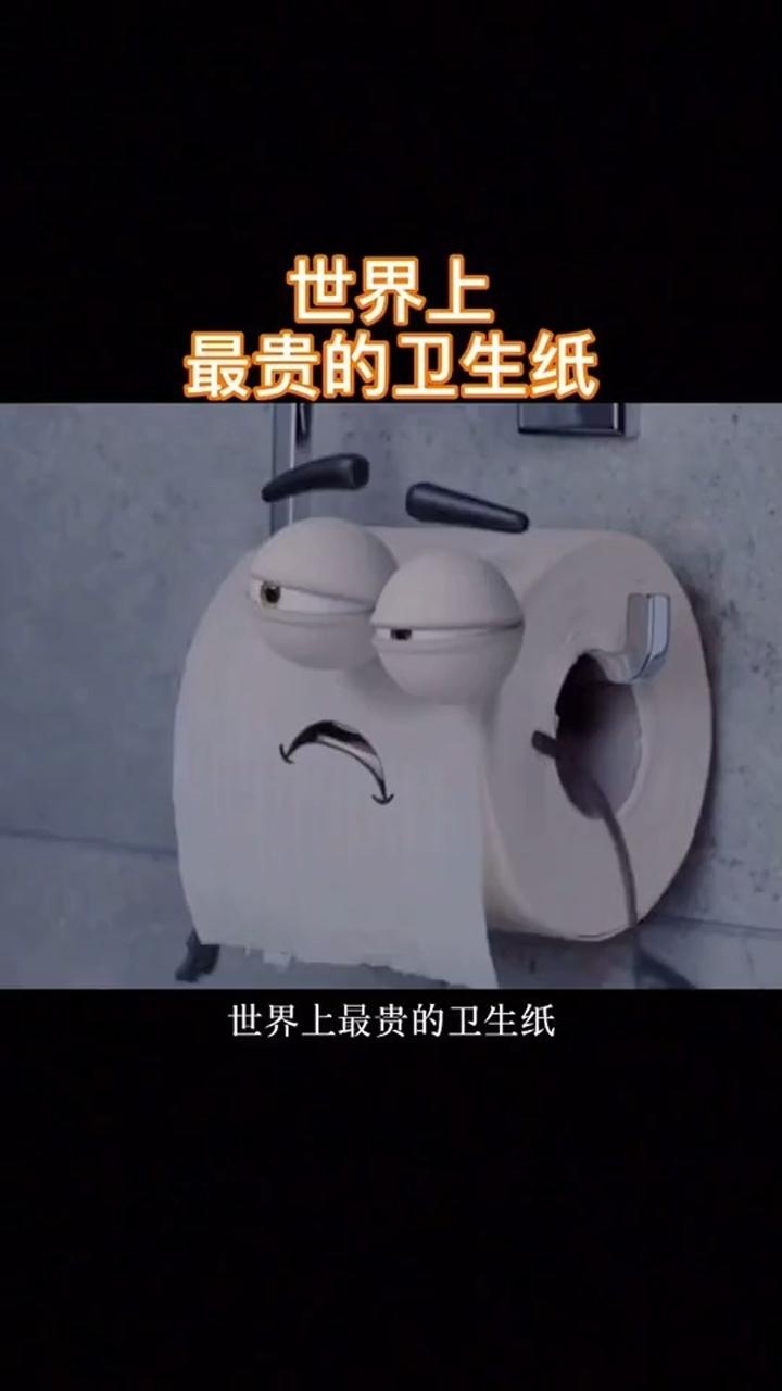 世界趣闻世界上最贵的卫生纸