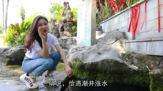 继带货绿壳鸡蛋火了之后,贵州长顺“美女县长”又发出邀约