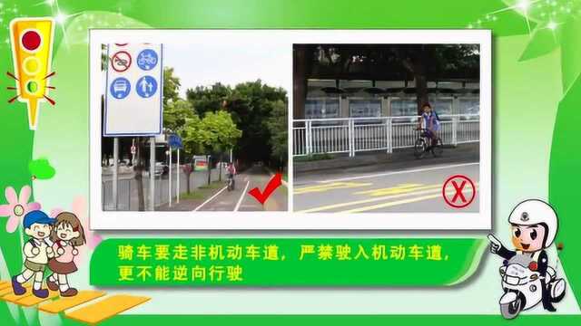 中小学道路交通安全知识讲座