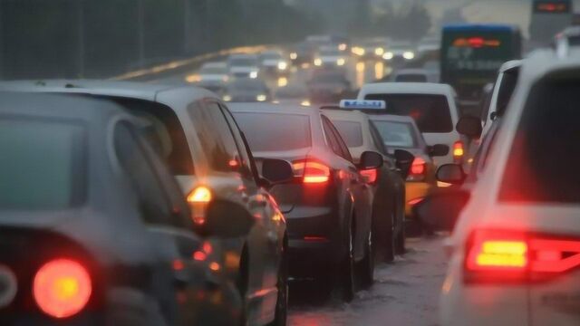 广州一车主下雨天开双闪被扣罚200元,交警:科目一是怎么学的?