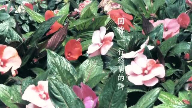 第1期 《潮》