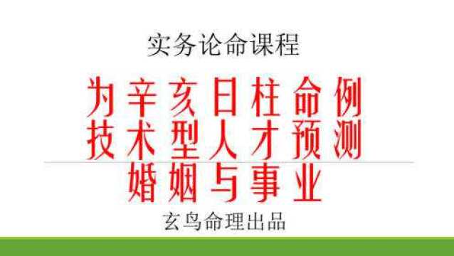 辛亥日柱命例技术型人才预测婚姻与事业