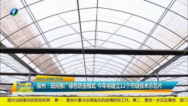 泉州:田间推广绿色防虫模式 今年将建立12个市级技术示范片!