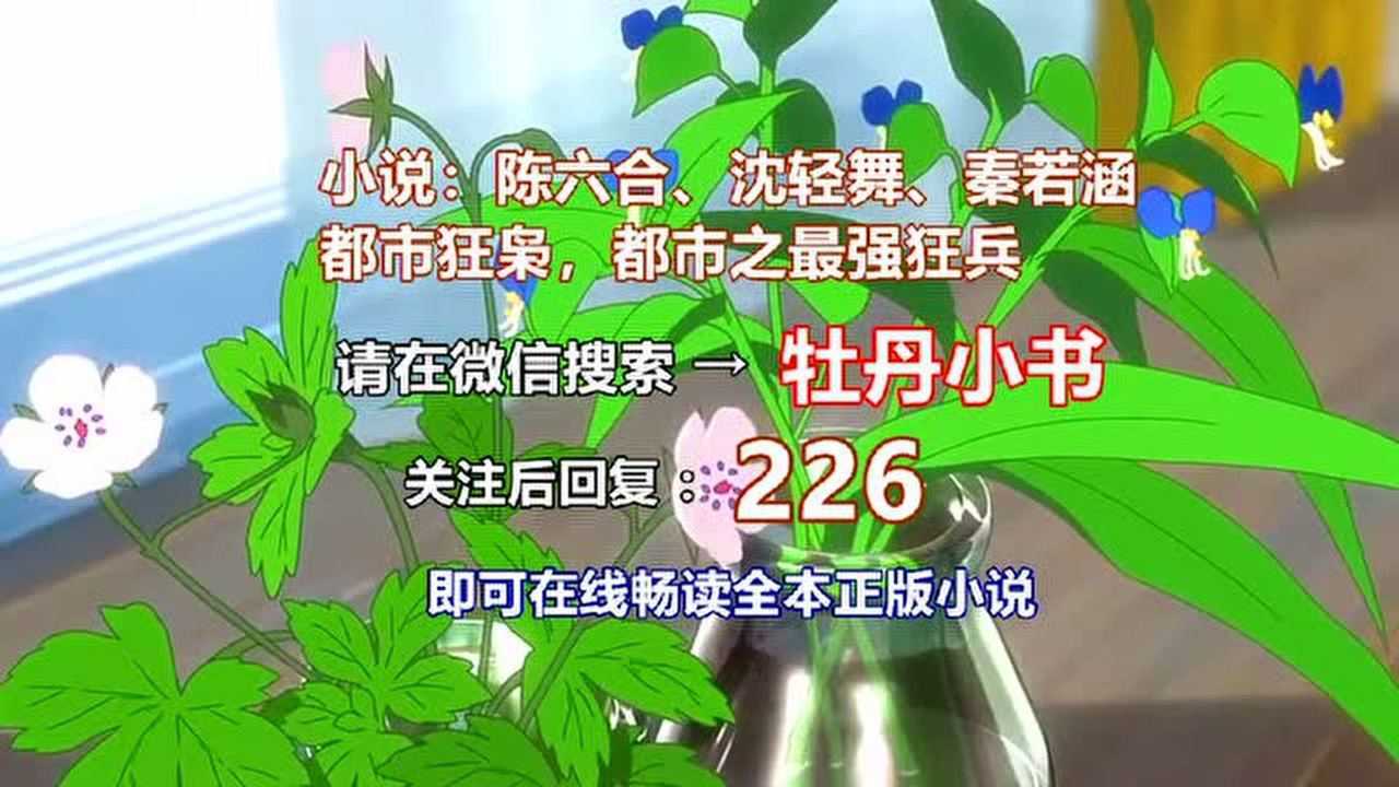 都市之最强狂兵与都市狂枭,陈六合和沈轻舞第226集_腾讯视频 都市之最强狂兵与都市狂枭,陈六合和沈轻舞第226集_腾讯视频