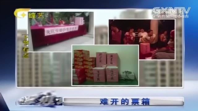 业委会将选举唱票,票箱竟离奇“失踪”,经查证发现背后不简单