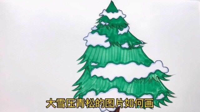 大雪压青松图片如何画?