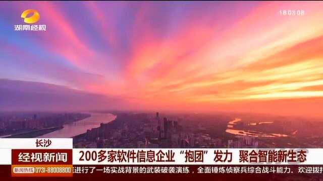 众人拾柴火焰高!长沙200多家软件信息企业“抱团”发力打造中国软件名城